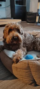 Groepscursus Eerste Stappen